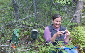Salish Kootenai College researcher Janene Lichtenberg leads a team of students doing fieldwork.